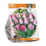 Baltus Tulipa Triumph Playgirl tulpen bloembollen per 5 stuks